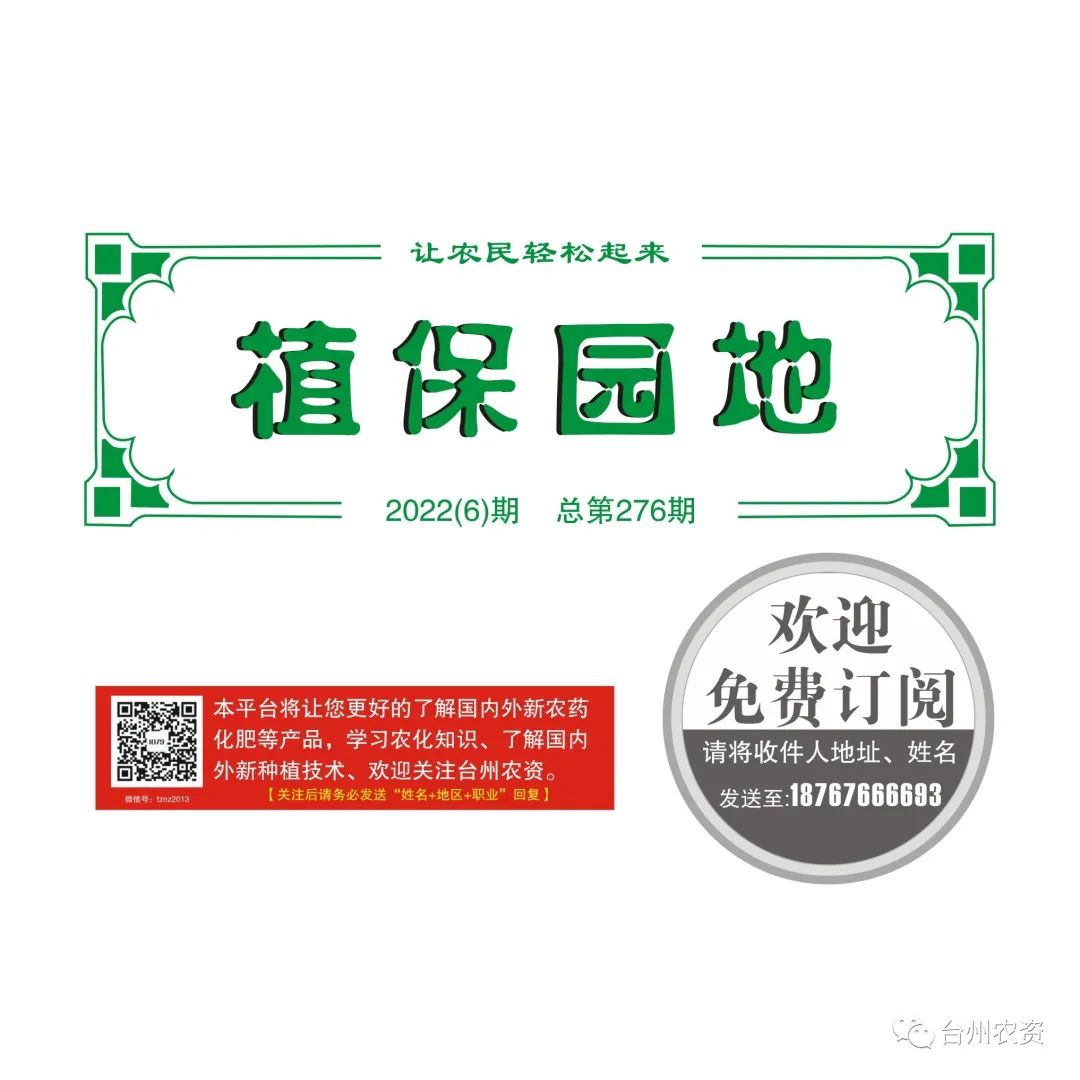 梅雨季節來臨，柑橘即將穩果，注意管理好夏梢，合理施肥打藥